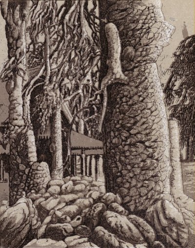 Niagara Falls: Winter wonders in the Park (litho) بواسطة المدرسة الأمريكية