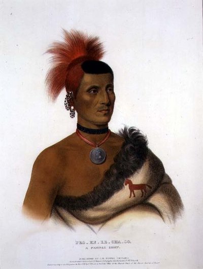 Pes-Ke-Le-Cha-Co ، رئيس باوني ، حانة. بواسطة JT Bowen (1801-c.1856) 1841 (لون ليثو) بواسطة المدرسة الأمريكية