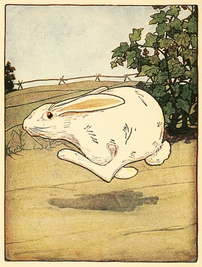لم يتوقف بيتر عن الركض ، من حانة The Tale of Peter Rabbit. 1916 طباعة حجرية ملونة ، 1916. بواسطة المدرسة الأمريكية