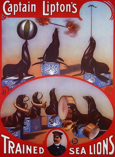 إعلان ملصق "أسود البحر الكابتن ليبتون المدرّب" ، حوالي 1905 (لون ليثو) بواسطة المدرسة الأمريكية