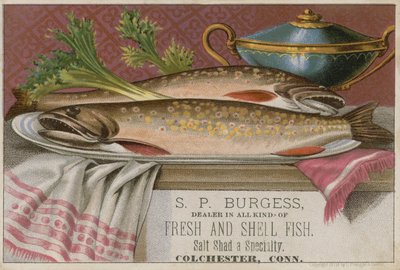 SP Burgess ، بطاقة تجارية بواسطة المدرسة الأمريكية