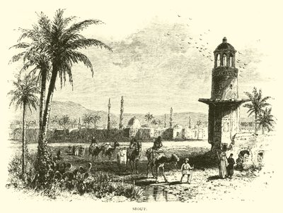 سيوت بواسطة المدرسة الأمريكية