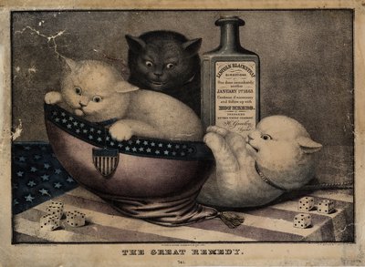 العلاج العظيم ، الذي نشرته EB و EC Kellogg ، و Hartford Ct. ، و Phelps and Watson ، New York ، و FP Whiting ، New York ، c. 1863 بواسطة المدرسة الأمريكية