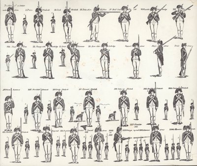 US Manual of Arms (litho) بواسطة المدرسة الأمريكية