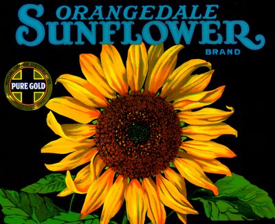 Vintage Sunflower Fruit Crate Label بواسطة المدرسة الأمريكية