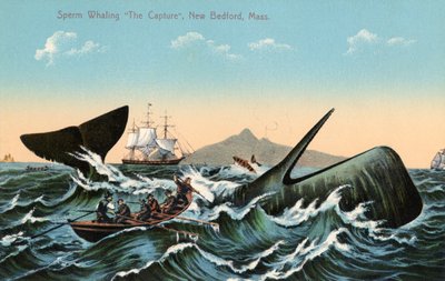 Whalers Harpooning a Sperm Whale Off New Bedford, Massachusetts بواسطة المدرسة الأمريكية