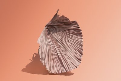 إيكيبانا 07, 2018 (تصوير فوتوغرافي) بواسطة 