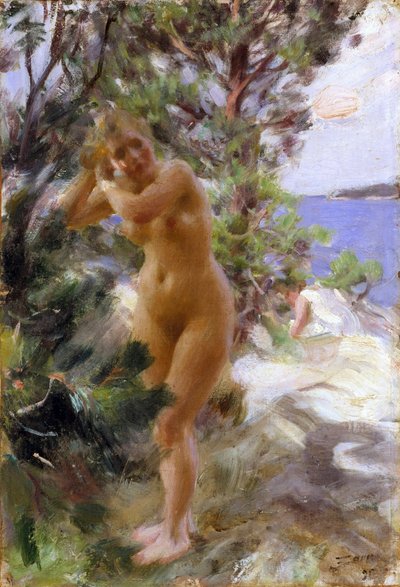 Apres le bain - After the Bath - Zorn، Anders Leonard (1860-1920) - 1895 - زيت على قماش - 53،5x36،5 - Nationalmuseum Stockholm بواسطة المختلف هو ليونارد زورن