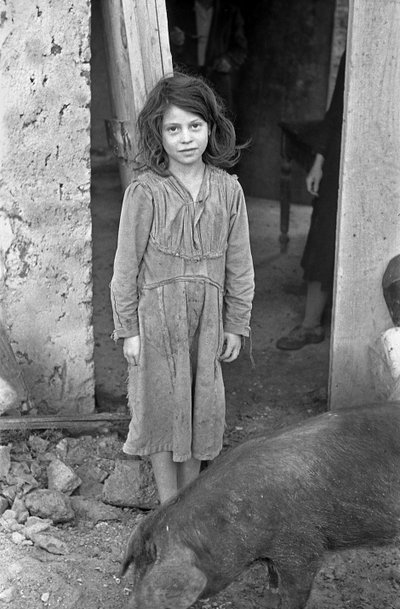 ريف كروتوني - فتاة وخنزير بواسطة 