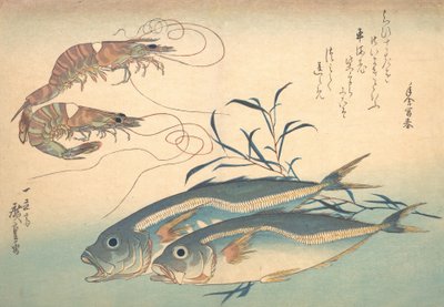 Aji Fish و Kuruma-ebi ، من سلسلة Uozukushi Every Variety of Fish ، 1830. ، 1830. بواسطة أندو هيروشيغه
