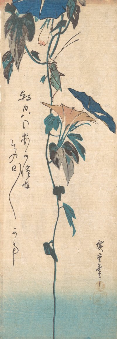جندب و Morning-glory Vine ، كاليفورنيا. 1835. ، كاليفورنيا. 1835. بواسطة أندو هيروشيغه