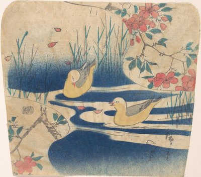 النوارس المقنعة وأزهار الكرز ، ربما 1850-1862. ، ربما 1850-62. بواسطة أندو هيروشيغه