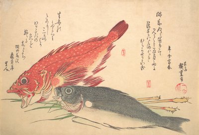 Isaki and Kasago Fish ، من سلسلة Uozukushi Every Variety of Fish ، 1830. ، 1830. بواسطة أندو هيروشيغه