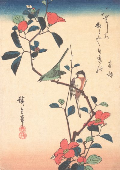 عين بيضاء يابانية و Titmouse على فرع كاميليا ، كاليفورنيا. 1840. ، كاليفورنيا. 1840. بواسطة أندو هيروشيغه