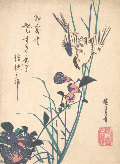 فلات بيل وسبارو كبيرة الأزهار ، كاليفورنيا. 1833. ، كاليفورنيا. 1833. بواسطة أندو هيروشيغه