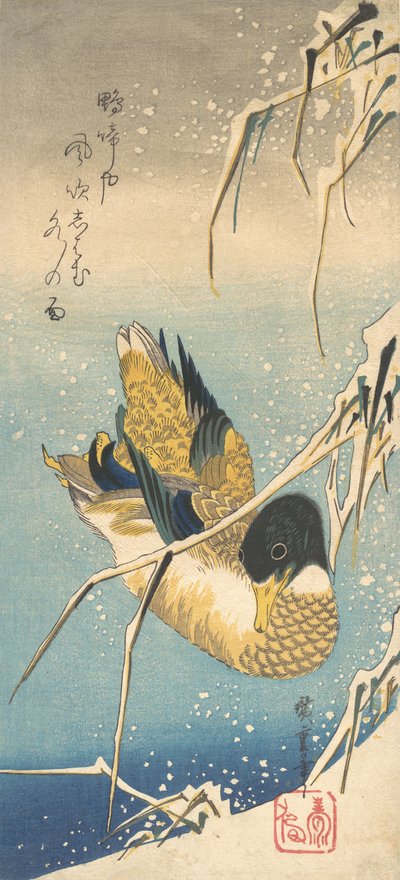 بط مالارد والقصب المغطاة بالثلوج ، كاليفورنيا. 1832. ، كاليفورنيا. 1832. بواسطة أندو هيروشيغه