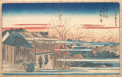 الكرز الصباح في Yoshiwara. بواسطة أندو هيروشيغه