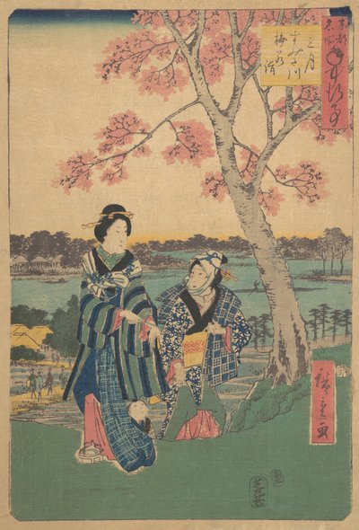 عرض أزهار البرقوق في الشهر الثالث في نهر سوميدا من سلسلة الأحداث السنوية في F ... ، 1854. بواسطة أندو هيروشيغه