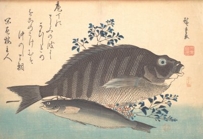 Shimadai و Ainame Fish ، من سلسلة Uozukushi Every Variety of Fish ، أربعينيات القرن التاسع عشر ، أربعينيات القرن التاسع عشر. بواسطة أندو هيروشيغه