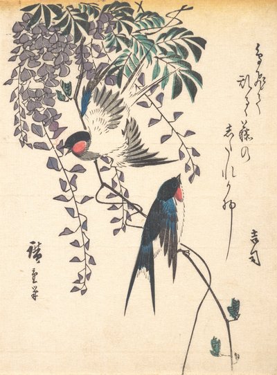 Swallow and Wisteria ، منتصف أربعينيات القرن التاسع عشر ، منتصف أربعينيات القرن التاسع عشر. بواسطة أندو هيروشيغه