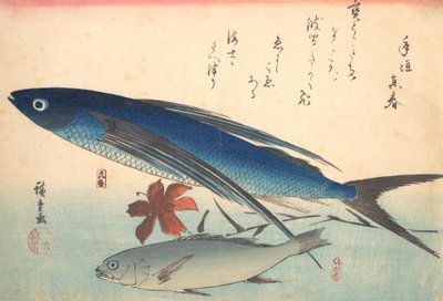 Tobiuo و Ishimochi Fish ، من سلسلة Uozukushi Every Variety of Fish ، أربعينيات القرن التاسع عشر ، أربعينيات القرن التاسع عشر. بواسطة أندو هيروشيغه