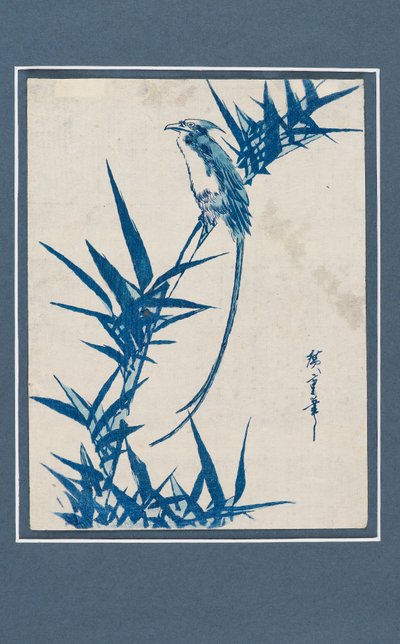 طباعة Ukiyo-e - طائر على فرع باللون الأزرق ، c1820-1858 بواسطة أندو هيروشيغه
