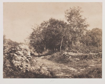 مشهد بلا عنوان من Fontainbleau ، ج. 1853. بواسطة أندريه جيرو