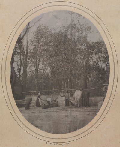 مشهد قرية جنوب فرنسا ، ج. 1853. بواسطة أندريه أدولف يوجين ديسديري