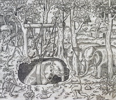 صيد الأفيال في جزيرة جاوة ، نقش من Universal Cosmology ، بقلم Andre Thevet (1504-1592) ، باريس بواسطة أندريه ثيفت