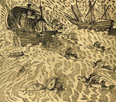 الأسماك الطائرة في البحار الاستوائية ، نقش من Cosmographie Universelle ، بواسطة Andre 'Thevet (1504-1592) ، باريس بواسطة أندريه ثيفت