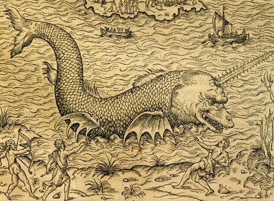 وحش البحر ، نقش من عالم الكونيات العالمي لأندريه تيفيت (1504-1592) ، باريس بواسطة أندريه ثيفت