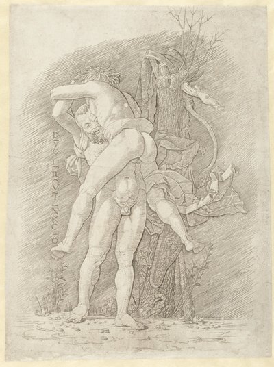 هرقل في Antaeus الإله الذي لا يقهر هرقل (العنوان على الكائن) بواسطة أندريا مانتيجنا (مدرسة)