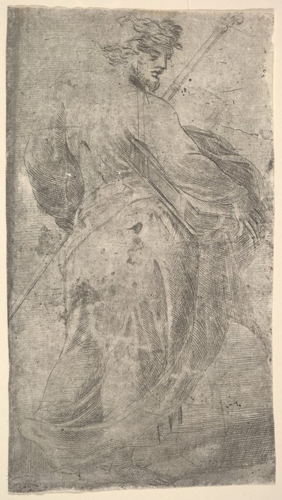 القديس يعقوب ميجور ، عصا في يده اليسرى ، كتاب في يمينه ، من 'المسيح و ... ، كاليفورنيا. 1548-50. بواسطة أندريا شيافوني