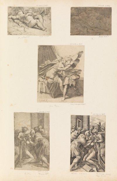 النوم كيوبيد ، عودة الابن الضال ، كاليفورنيا. 1536-40. بواسطة أندريا شيافوني