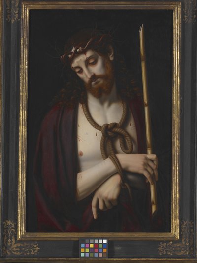 Ecce Homo (زيت على خشب) بواسطة أندريا سولاريو