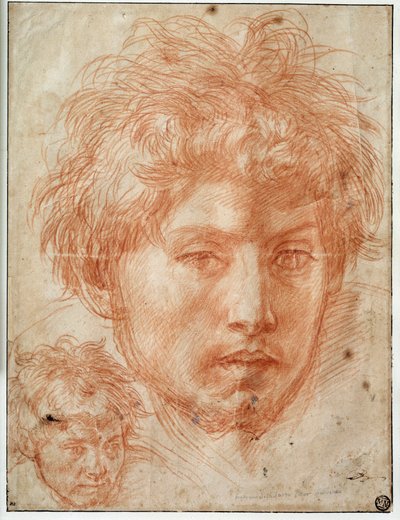 رأس رجل رسم لأندريا ديل سارتو (1486-1531) القرن السادس عشر. 0،33x0،25 م باريس ، متحف اللوفر بواسطة أندريا ديل سارتو
