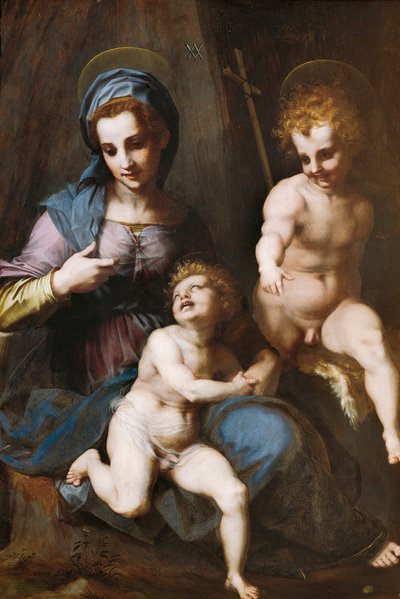 Madonna and Child with Infant Saint John the Baptist بواسطة أندريا ديل سارتو