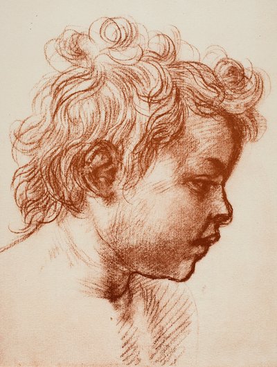دراسة لرئيس كنيسة القديس يوحنا (طفل) العائلة المقدسة ، جاليري بالاتينا ، بيتي ؛ رسم أندريا ديل سارتو ، خزانة الرسومات والمطبوعات ، معرض أوفيزي ، فلورنسا بواسطة أندريا ديل سارتو
