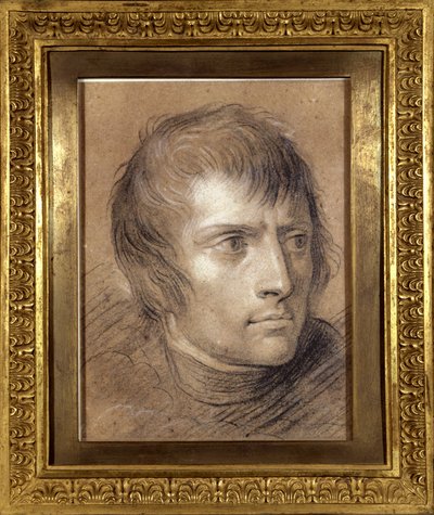 نابليون بونابرت (1769-1821) ، القنصل الأول ، 1803 (رسم) بواسطة Andrea the Elder Appiani