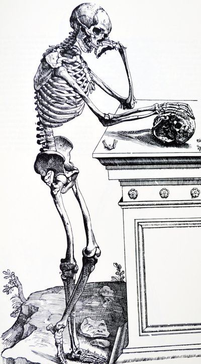 هيكل عظمي بشري مع جمجمة في يده. من "De Humani Corporis Fabrica" بواسطة Vesalius. الحطاب المحتمل: جان فون كالكار بواسطة Andreas Vesalius