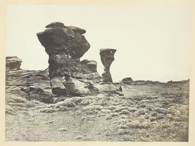  بواسطة أندرو جوزيف راسل