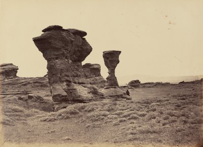  بواسطة أندرو جوزيف راسل