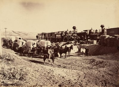  بواسطة أندرو جوزيف راسل