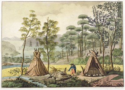 جمارك الدفن ، نيو هولاند ، اللوحة 63 من "Le Costume Ancien et Moderne" ، بقلم جول فيراريو ، تم نشرها في 1820s-30s بواسطة أنجيلو بياسيولي