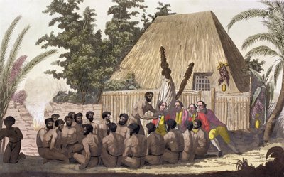 "الكابتن كوك يتابع عرضًا ، جزر ساندويتش" ، 1778-1779 القرن التاسع عشر بواسطة أنجيلو بياسيولي