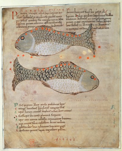 Cott Tib B V Par I 33v The Constellation Pisces من 