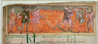 حصاد Cott Tib B V f.6v ، من التقويم ، حوالي 1030 (رق) (تفاصيل 41681) بواسطة الأنجلو ساكسون