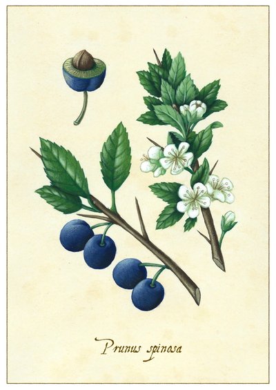  بواسطة أناليزا المغرب