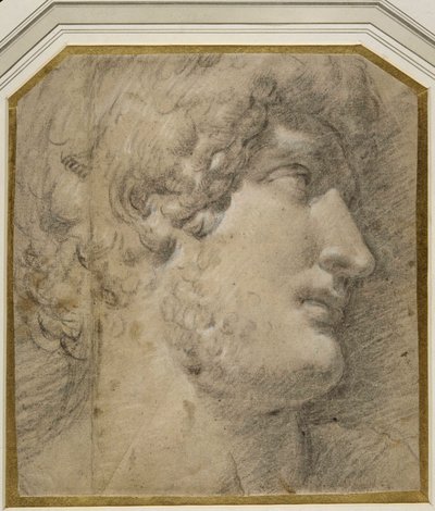 Head of the Emperor Gallienus (or ?Hadrian), after the antique (black chalk on cream paper) بواسطة أنيبال كاراتشي