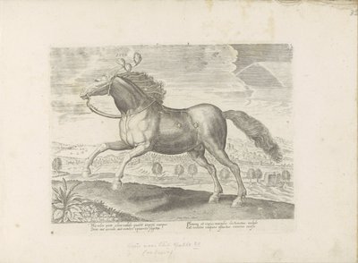 Arabisch paard إحضار (العنوان على الكائن) Paardenrassen uit de Koninklijke stallen van Don Juan van Oostenrijk (عنوان المسلسل) الحصان الذي فيه جميع أنواع النبلاء: اختيار سلوك خيول متميز من مختلف أنحاء العالم (...) (عنوان السلسلة على الكائن) بواسطة جان فان دير سترايت